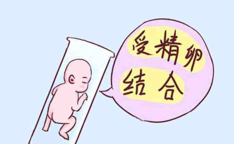 郑州三代试管大概多少钱啊 ( 郑州第三附属医院做试管婴儿多少钱)-第2张图片-于玉网